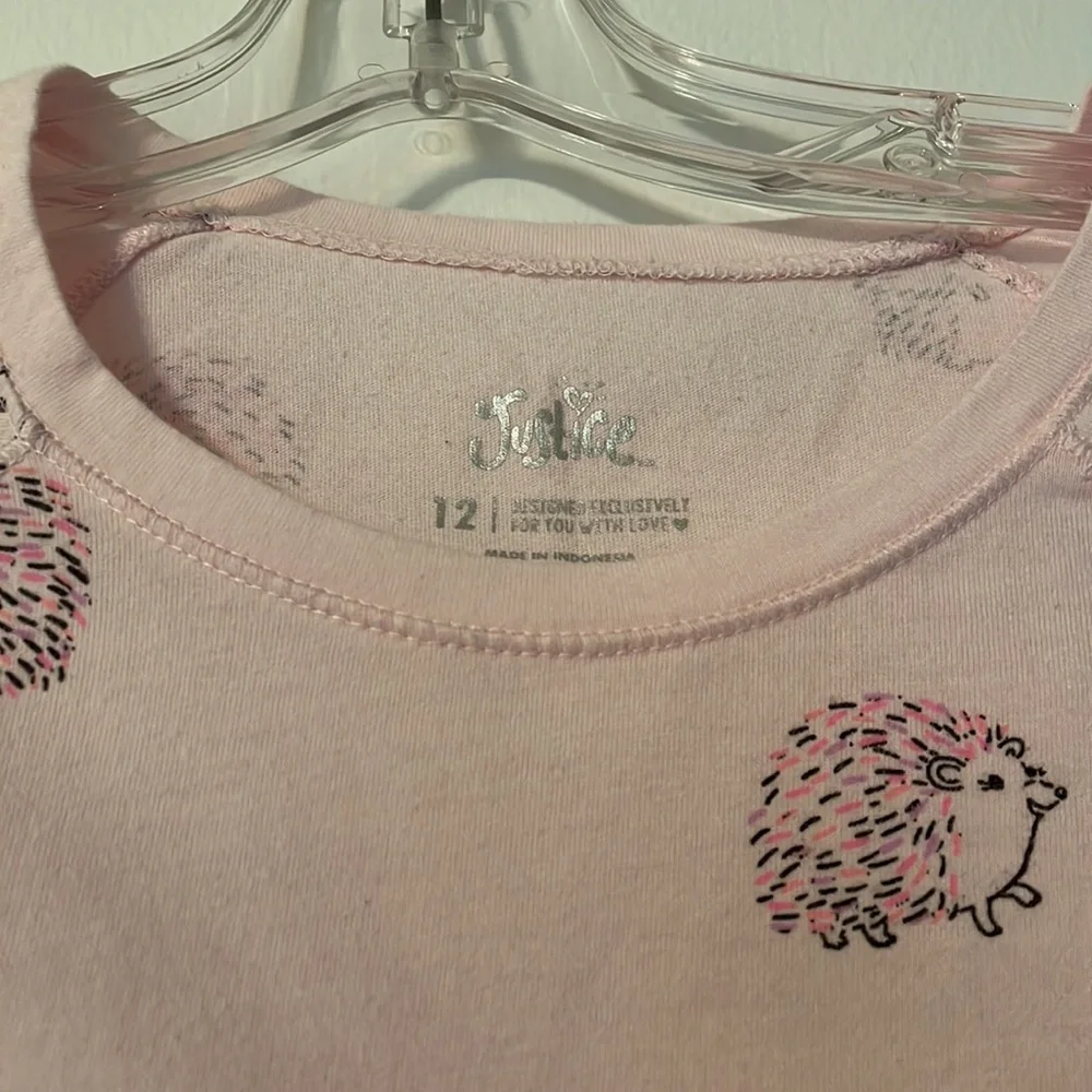 Set of 2 girls tops.             Size 12